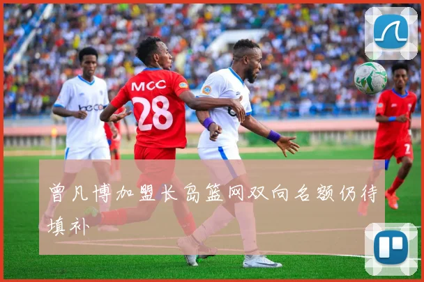 曾凡博加盟长岛篮网双向名额仍待填补